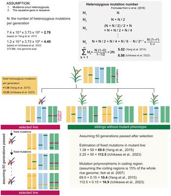 Low mutation rate of spontaneous mutants enables detection of causative genes by comparing whole genome sequences